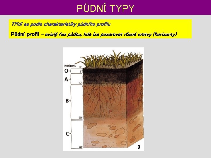 PŮDNÍ TYPY Třídí se podle charakteristiky půdního profilu Půdní profil – svislý řez půdou,