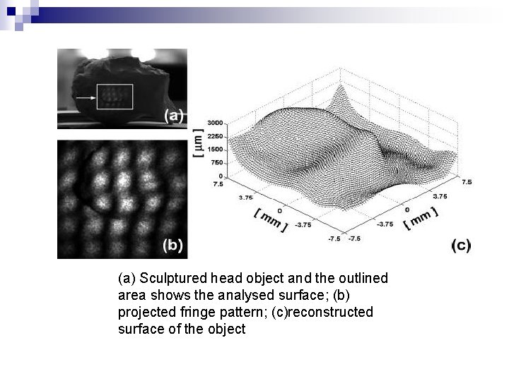 (a) Sculptured head object and the outlined area shows the analysed surface; (b) projected