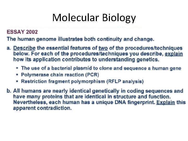 Molecular Biology 