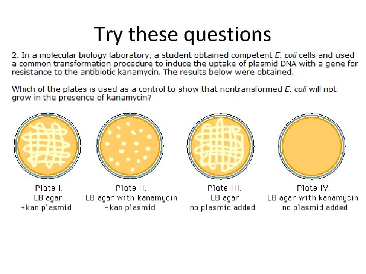Try these questions 