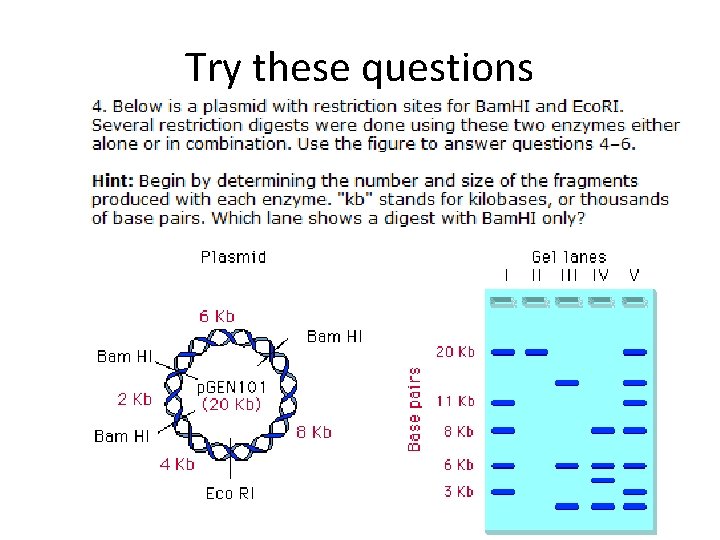 Try these questions 