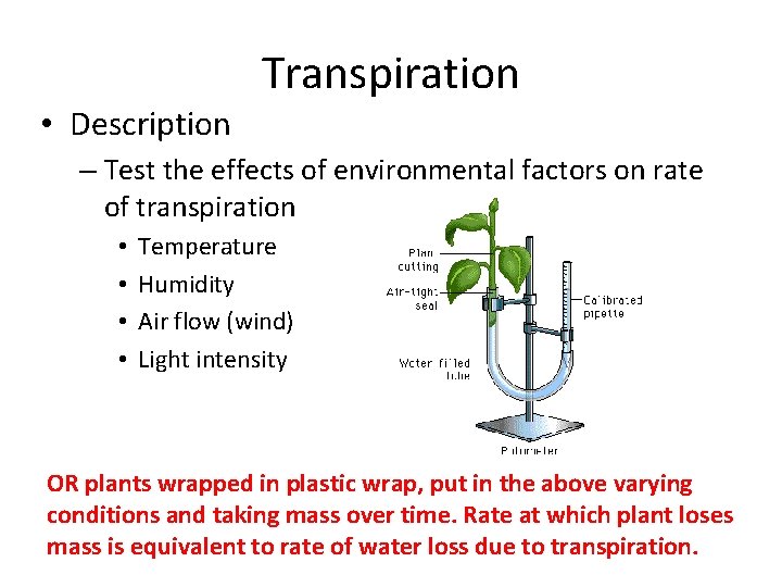  • Description Transpiration – Test the effects of environmental factors on rate of