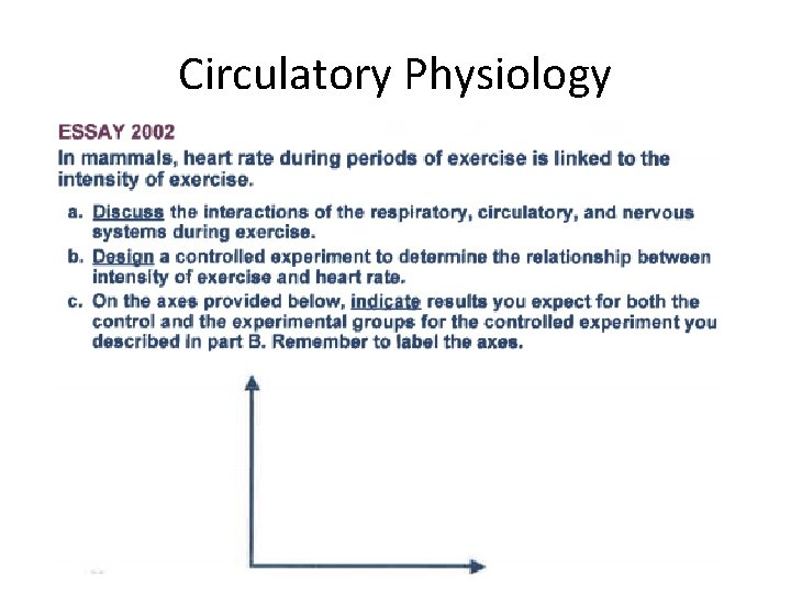 Circulatory Physiology 