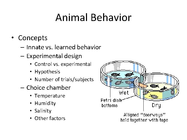 Animal Behavior • Concepts – Innate vs. learned behavior – Experimental design • Control