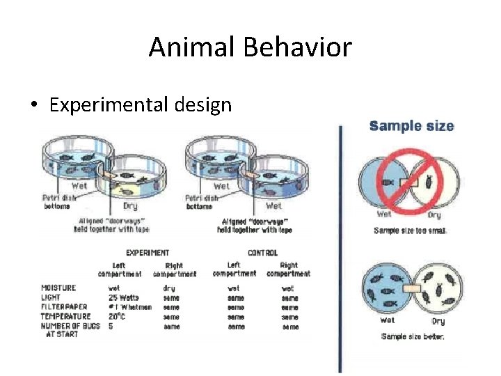 Animal Behavior • Experimental design 