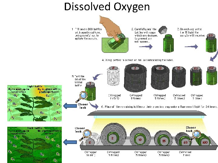 Dissolved Oxygen 