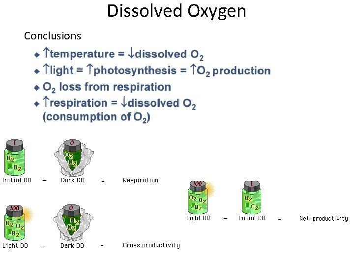 Dissolved Oxygen Conclusions 