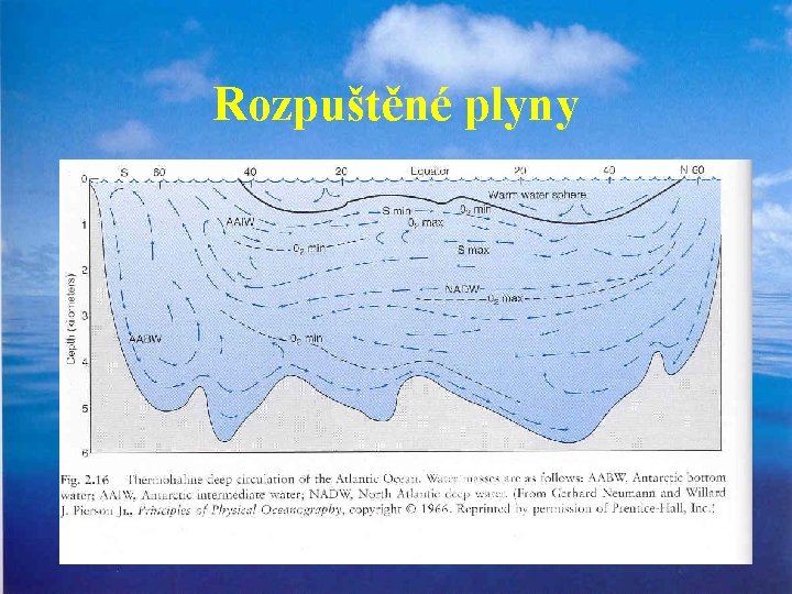 Rozpuštěné plyny 