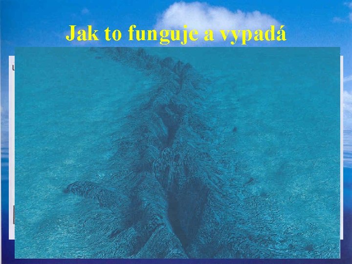 Jak to funguje a vypadá 