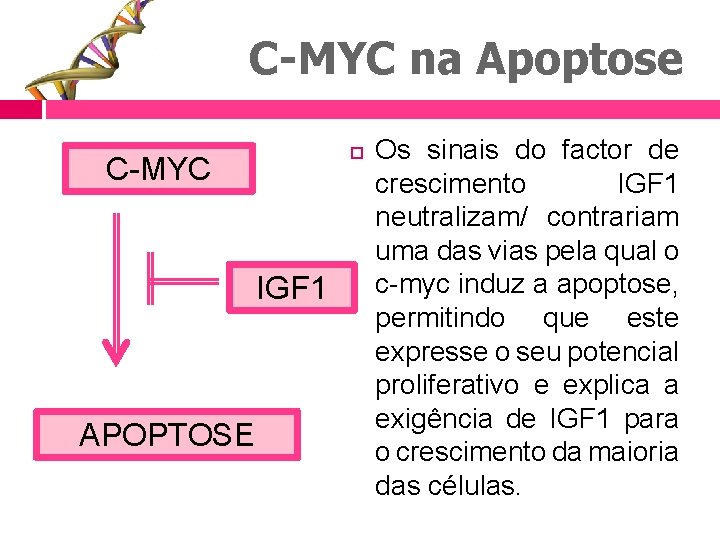 C-MYC na Apoptose C-MYC IGF 1 APOPTOSE Os sinais do factor de crescimento IGF