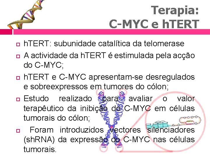 Terapia: C-MYC e h. TERT h. TERT: subunidade catalítica da telomerase A actividade da