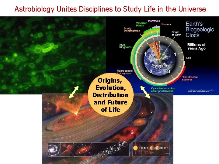 Astrobiology Unites Disciplines to Study Life in the Universe Origins, Evolution, Distribution and Future