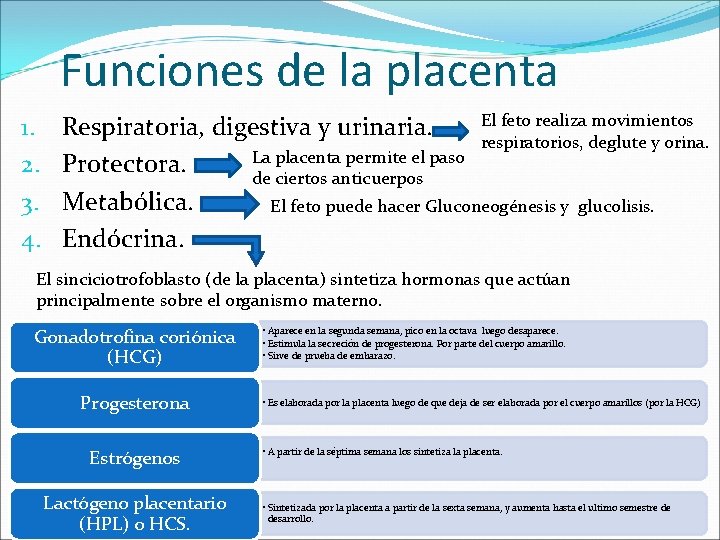 Funciones de la placenta 1. 2. 3. 4. El feto realiza movimientos Respiratoria, digestiva