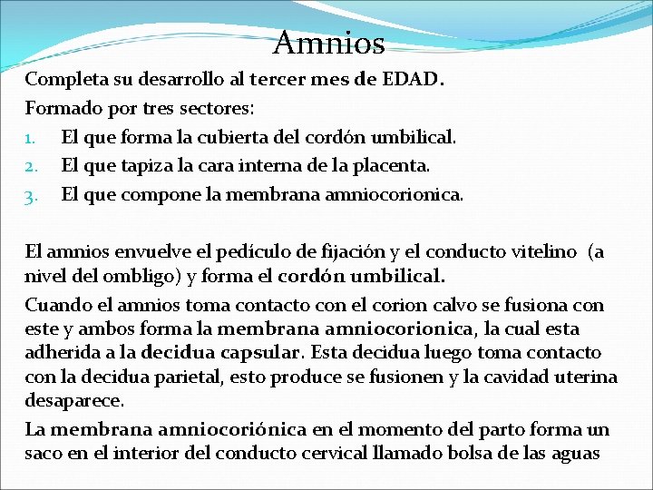 Amnios Completa su desarrollo al tercer mes de EDAD. Formado por tres sectores: 1.