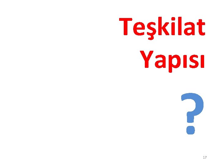 Teşkilat Yapısı ? 17 