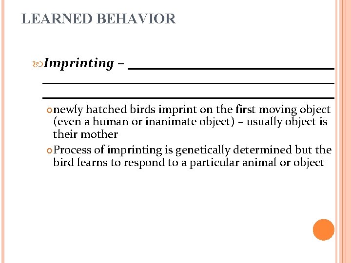 LEARNED BEHAVIOR Imprinting – newly hatched birds imprint on the first moving object (even