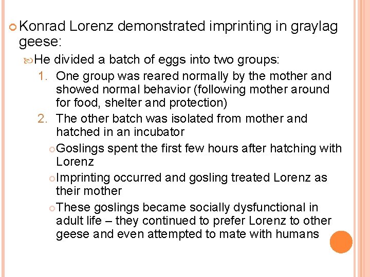  Konrad geese: He Lorenz demonstrated imprinting in graylag divided a batch of eggs