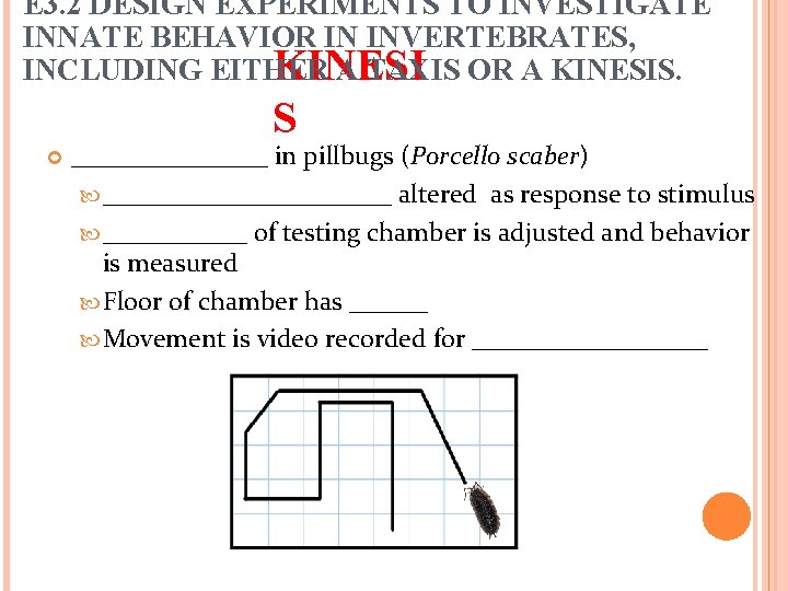 E 3. 2 DESIGN EXPERIMENTS TO INVESTIGATE INNATE BEHAVIOR IN INVERTEBRATES, KINESI INCLUDING EITHER