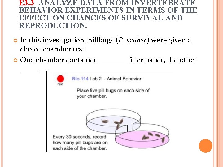 E 3. 3 ANALYZE DATA FROM INVERTEBRATE BEHAVIOR EXPERIMENTS IN TERMS OF THE EFFECT