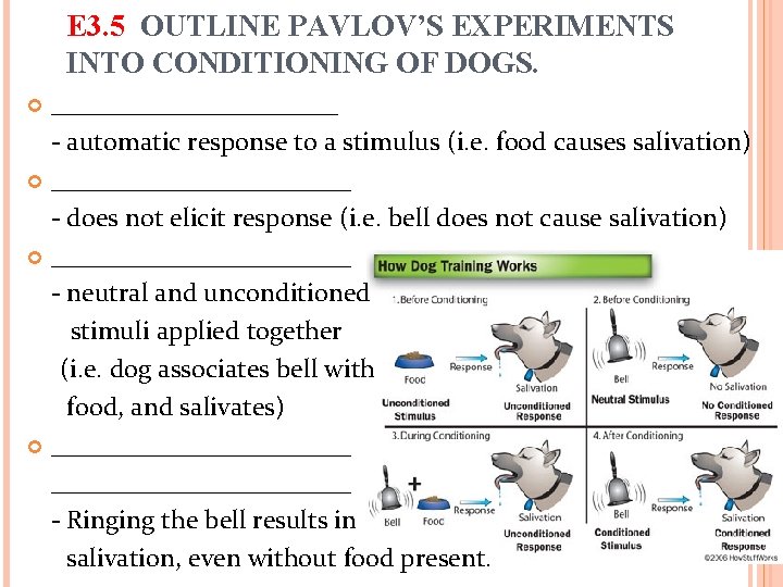 E 3. 5 OUTLINE PAVLOV’S EXPERIMENTS INTO CONDITIONING OF DOGS. ___________ - automatic response