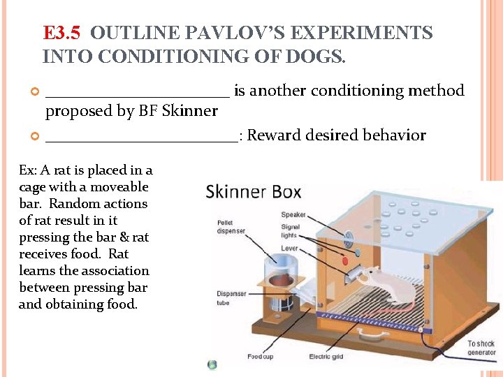 E 3. 5 OUTLINE PAVLOV’S EXPERIMENTS INTO CONDITIONING OF DOGS. ___________ is another conditioning