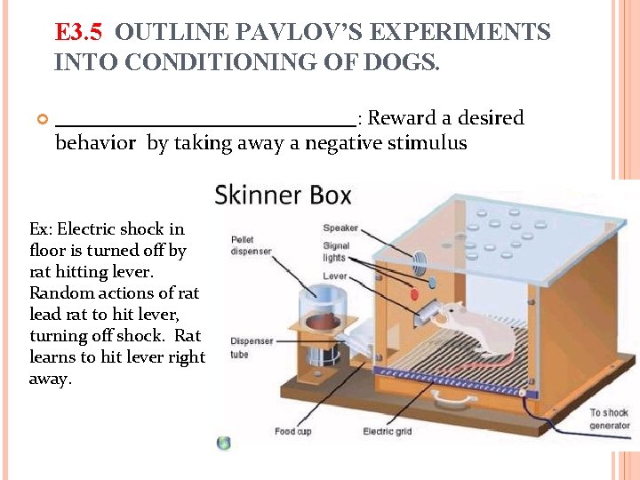 E 3. 5 OUTLINE PAVLOV’S EXPERIMENTS INTO CONDITIONING OF DOGS. : Reward a desired