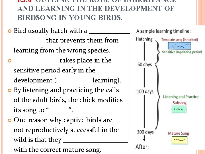 E 3. 6 OUTLINE THE ROLE OF INHERITANCE AND LEARNING IN THE DEVELOPMENT OF