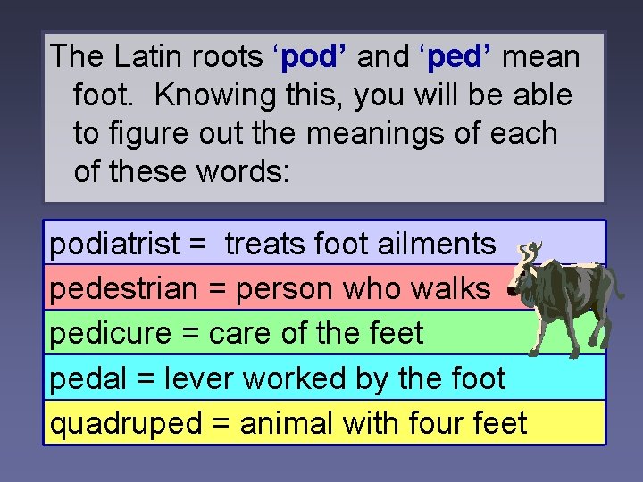 The Latin roots ‘pod’ and ‘ped’ mean foot. Knowing this, you will be able