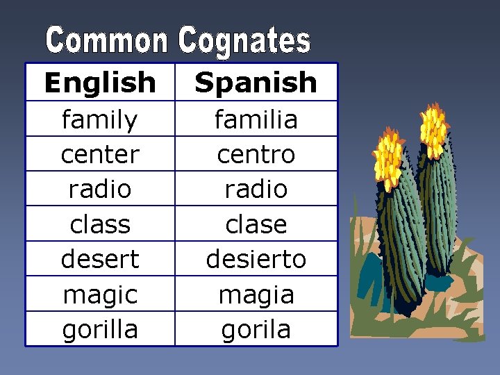 English Spanish family center radio class desert magic gorilla familia centro radio clase desierto