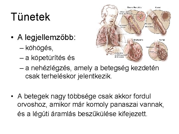 Tünetek • A legjellemzőbb: – köhögés, – a köpetürítés és – a nehézlégzés, amely