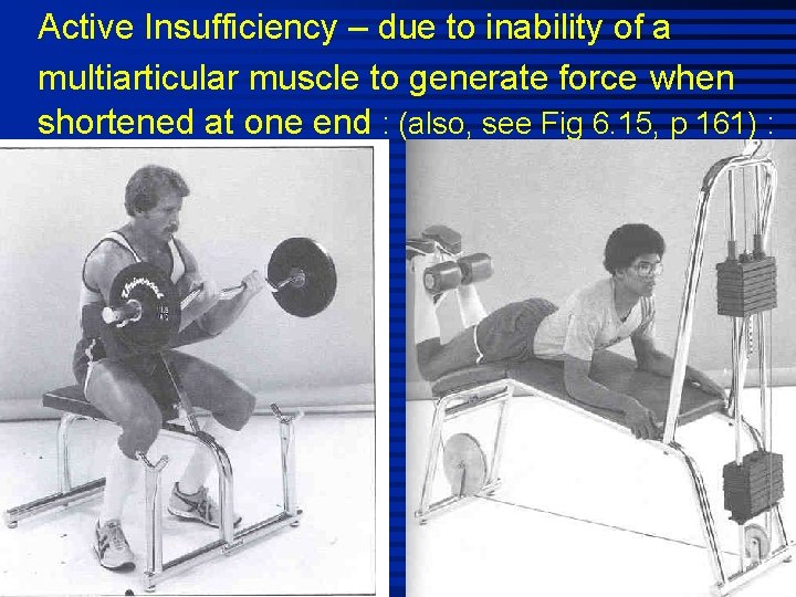 Active Insufficiency – due to inability of a multiarticular muscle to generate force when