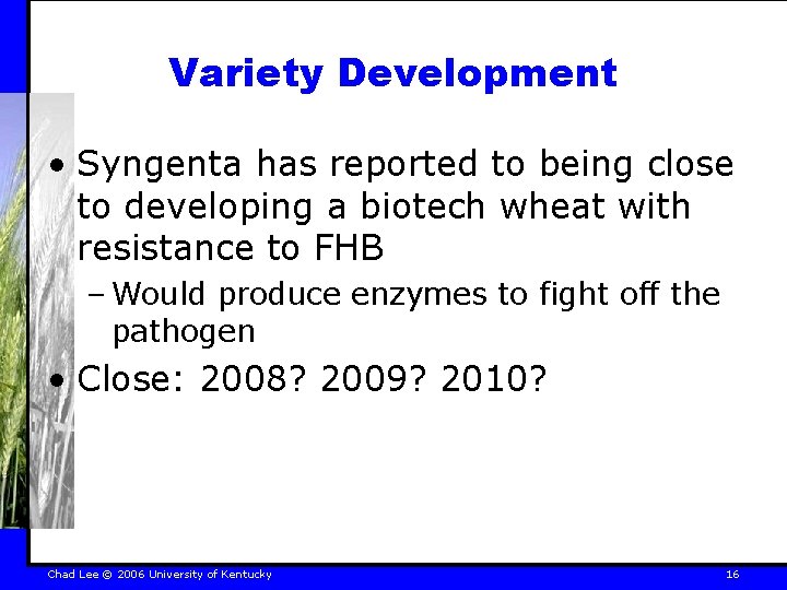 Variety Development • Syngenta has reported to being close to developing a biotech wheat