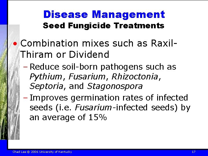 Disease Management Seed Fungicide Treatments • Combination mixes such as Raxil. Thiram or Dividend