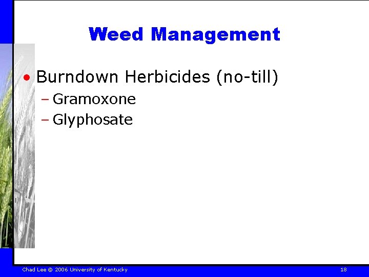 Weed Management • Burndown Herbicides (no-till) – Gramoxone – Glyphosate Chad Lee © 2006