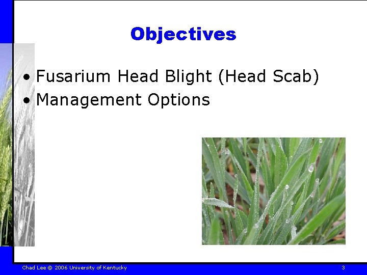 Objectives • Fusarium Head Blight (Head Scab) • Management Options Chad Lee © 2006