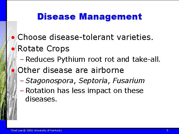 Disease Management • Choose disease-tolerant varieties. • Rotate Crops – Reduces Pythium root rot