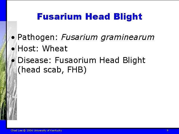 Fusarium Head Blight • Pathogen: Fusarium graminearum • Host: Wheat • Disease: Fusaorium Head