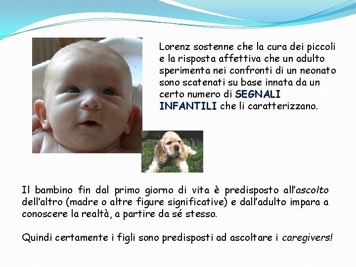 Lorenz sostenne che la cura dei piccoli e la risposta affettiva che un adulto