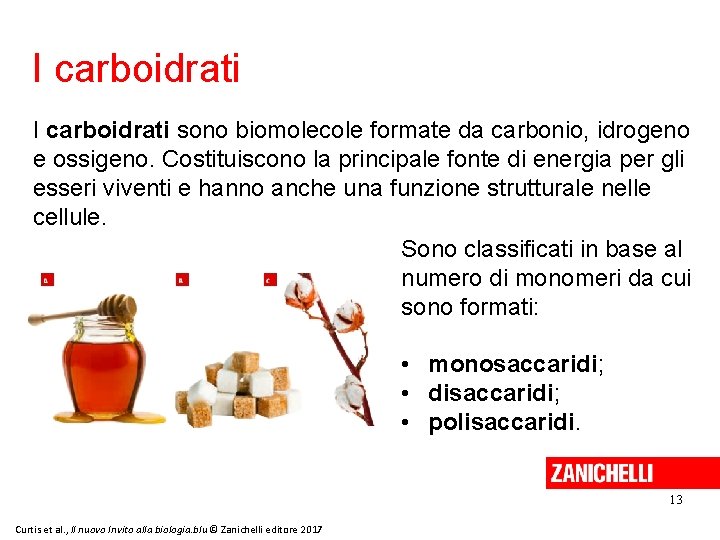 I carboidrati sono biomolecole formate da carbonio, idrogeno e ossigeno. Costituiscono la principale fonte