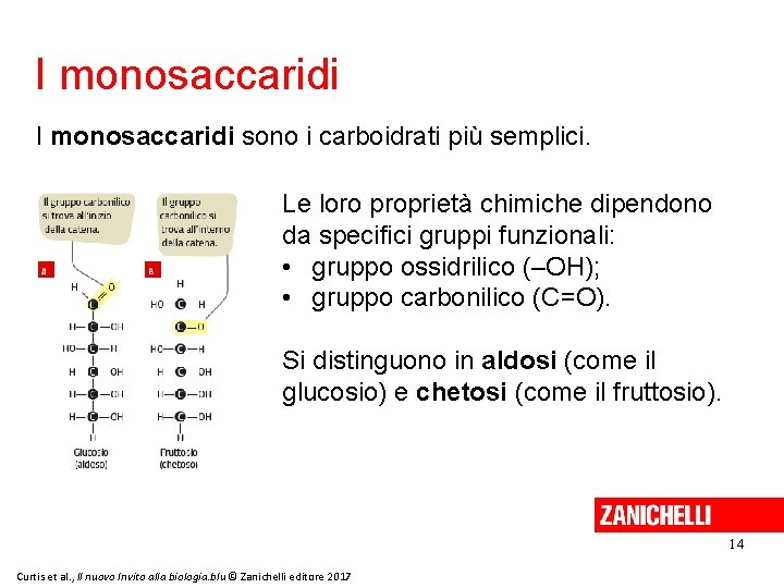 I monosaccaridi sono i carboidrati più semplici. Le loro proprietà chimiche dipendono da specifici