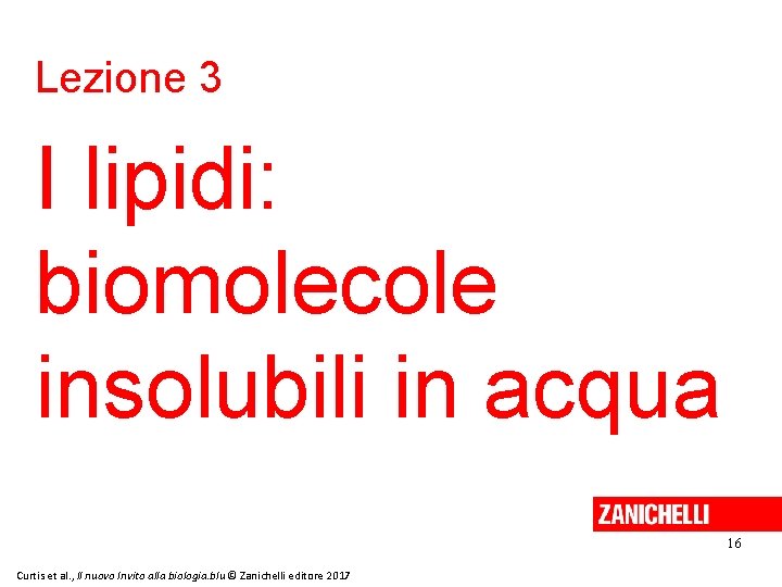 Lezione 3 I lipidi: biomolecole insolubili in acqua 16 Curtis et al. , Il
