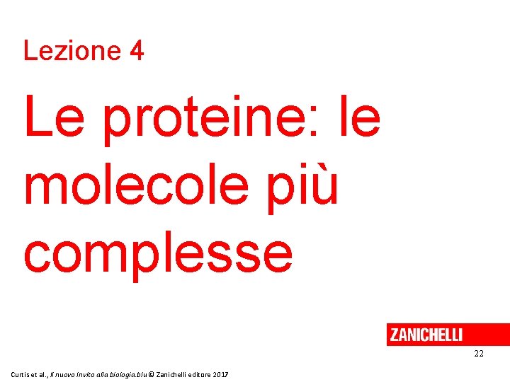 Lezione 4 Le proteine: le molecole più complesse 22 Curtis et al. , Il