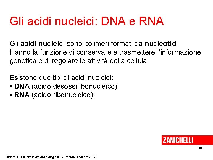Gli acidi nucleici: DNA e RNA Gli acidi nucleici sono polimeri formati da nucleotidi.