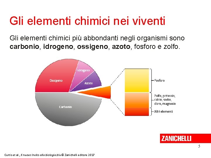 Gli elementi chimici nei viventi Gli elementi chimici più abbondanti negli organismi sono carbonio,