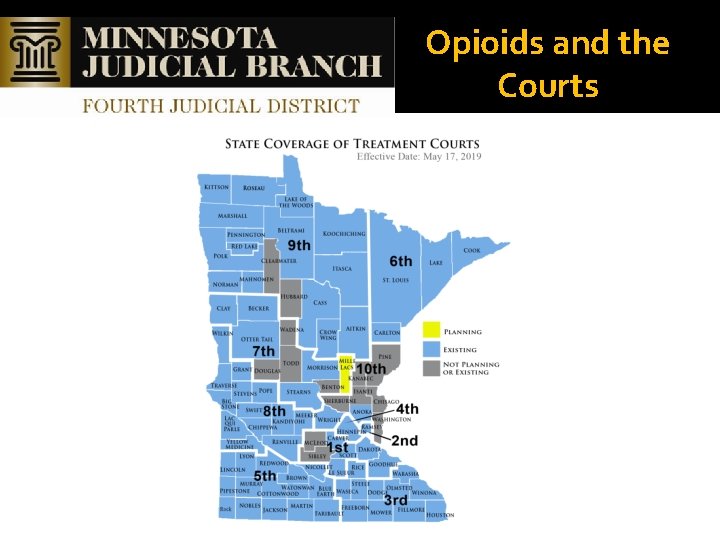 Opioids and the Courts 