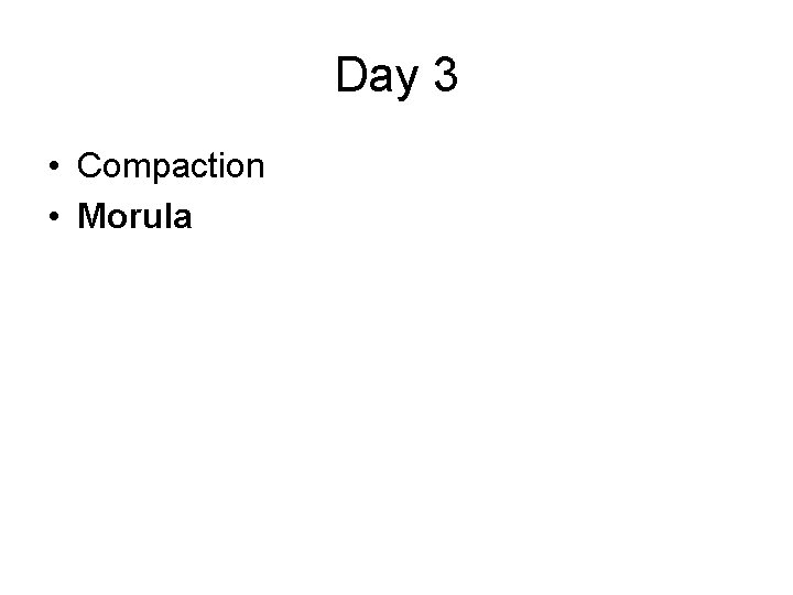Day 3 • Compaction • Morula 