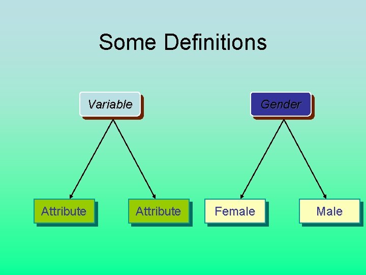 Some Definitions Variable Attribute Gender Attribute Female Male 
