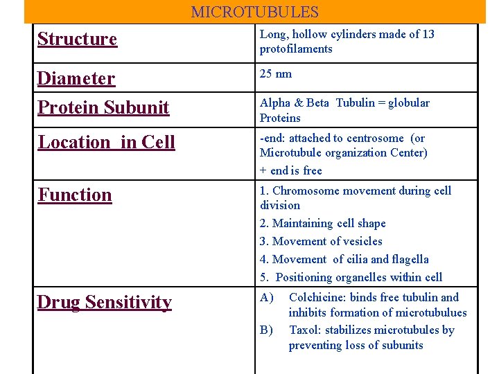 MICROTUBULES Structure Long, hollow cylinders made of 13 protofilaments Diameter Protein Subunit 25 nm