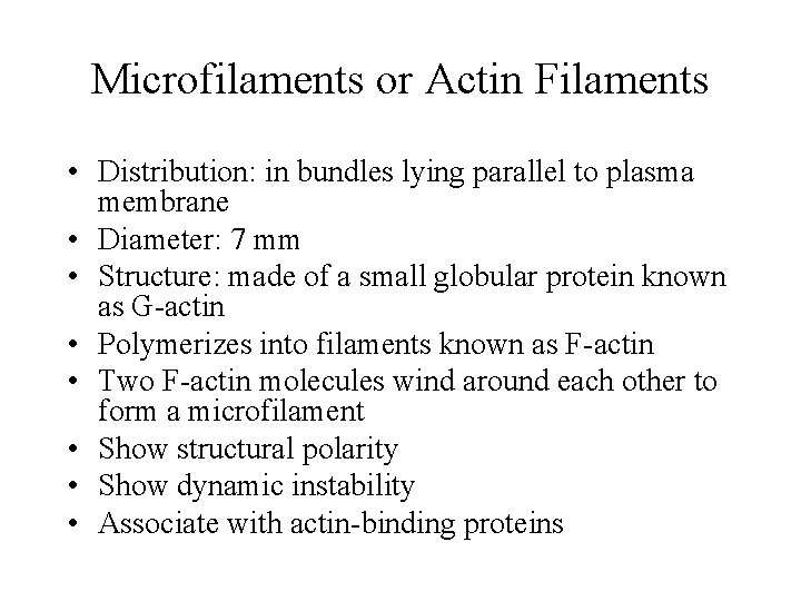 Microfilaments or Actin Filaments • Distribution: in bundles lying parallel to plasma membrane •