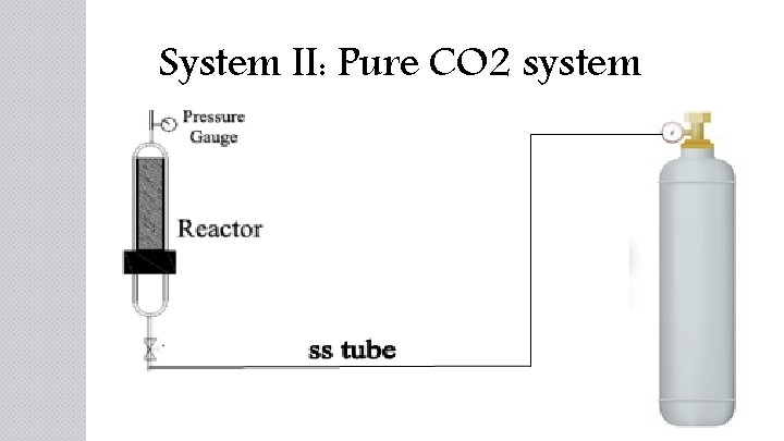 System II: Pure CO 2 system 